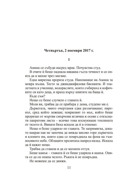 Стъклено сърце
