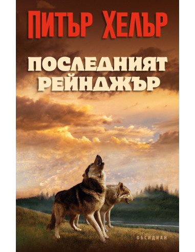 Последният рейнджър