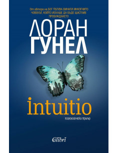 Intuitio