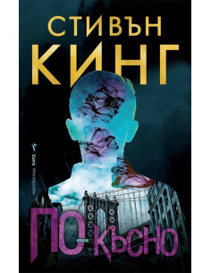 По-късно - Стивън Кинг