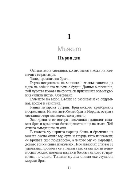 Господин Никой