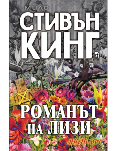 Романът на Лизи