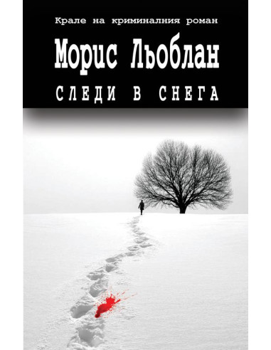 Следи в снега