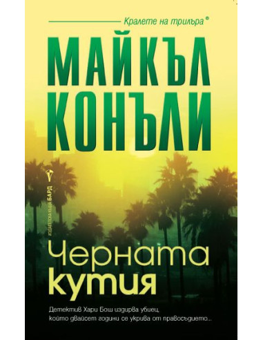 Черната кутия