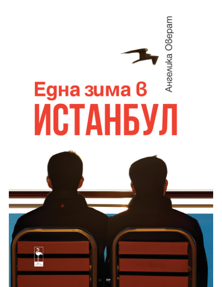 Една зима в Истанбул