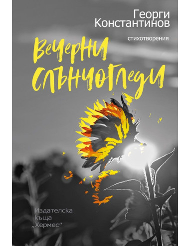 Вечерни слънчогледи