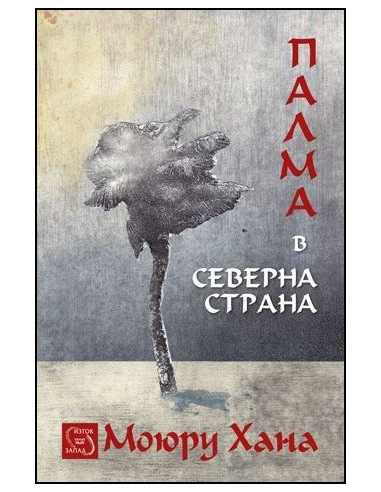 Палма в северна страна