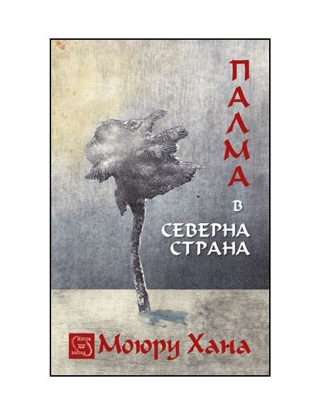 Палма в северна страна
