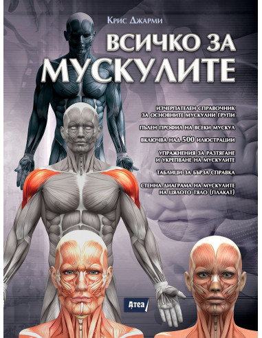 Всичко за мускулите