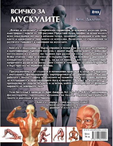 Всичко за мускулите