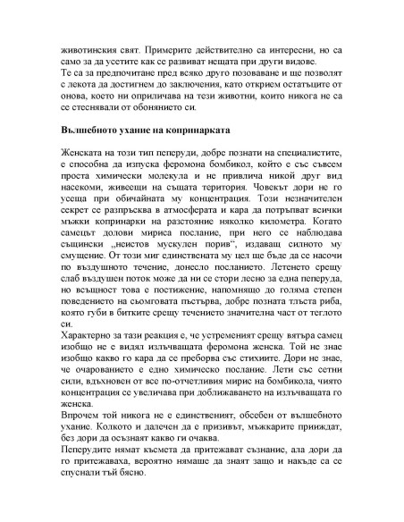 Мъжете предпочитат закръглените