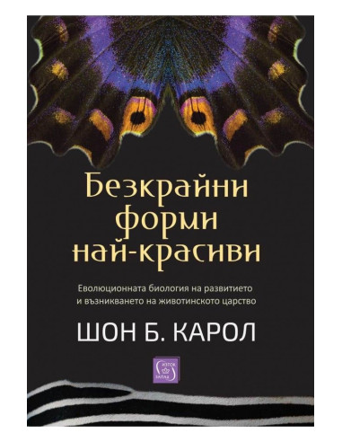 Безкрайни форми най-красиви