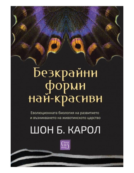 Безкрайни форми най-красиви