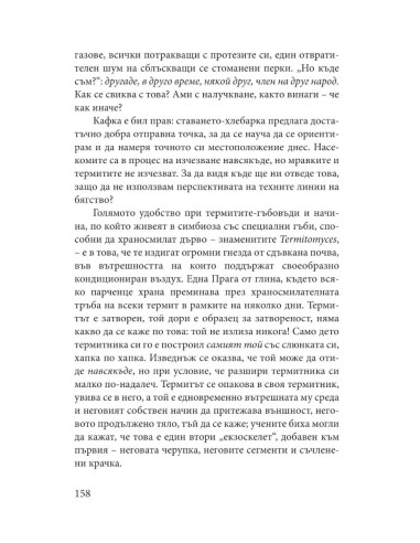 Къде да се приземим? - Къде съм?