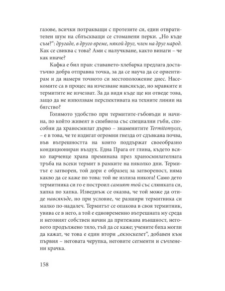 Къде да се приземим? - Къде съм?