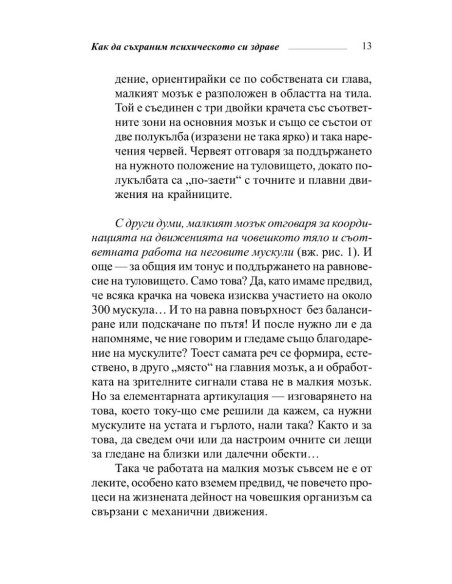 Здрав мозък + чувства  Психика