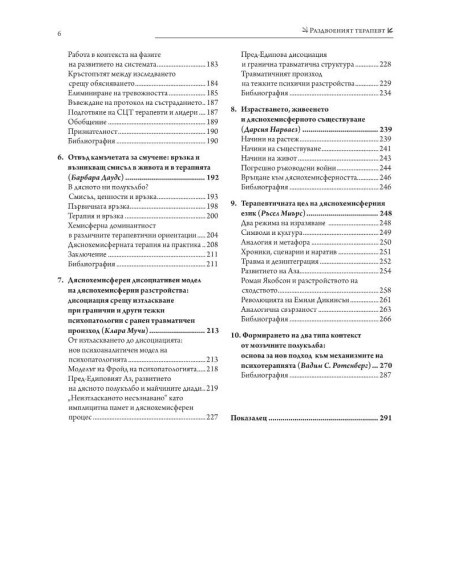 Раздвоеният терапевт