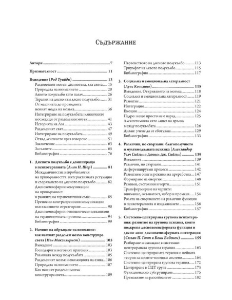 Раздвоеният терапевт