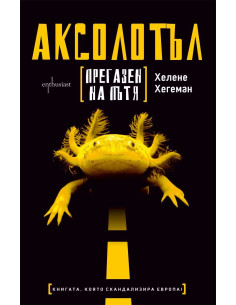 Аксолотъл прегазен на пътя