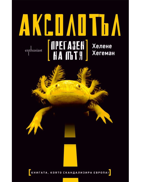 Аксолотъл прегазен на пътя