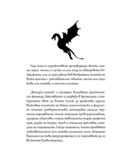 Железен пламък