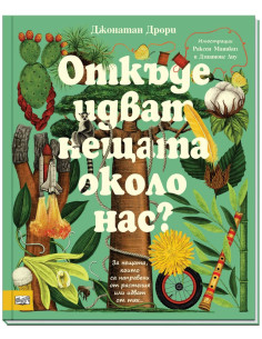 Откъде идват нещата около нас?