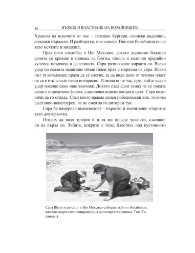 Възход и властване на бозайниците