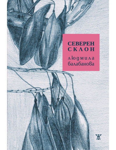 Северен склон