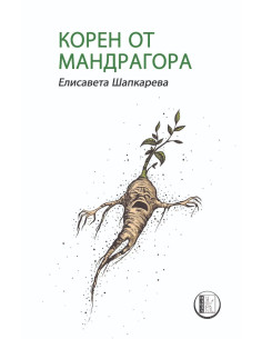 Корен от мандрагора