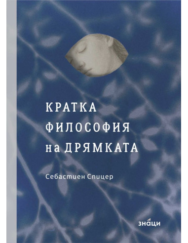 Кратка философия на дрямката