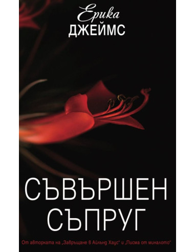 Съвършен съпруг