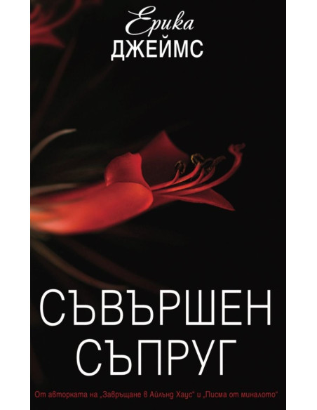 Съвършен съпруг