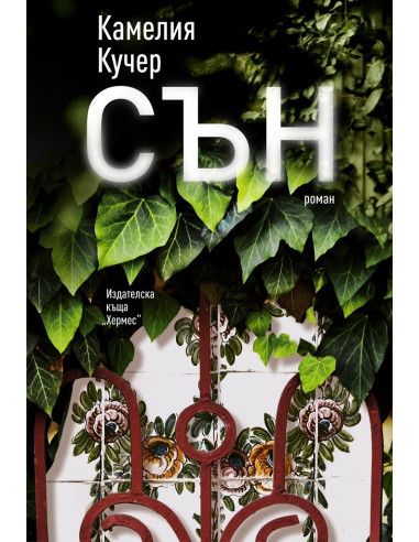 Сън