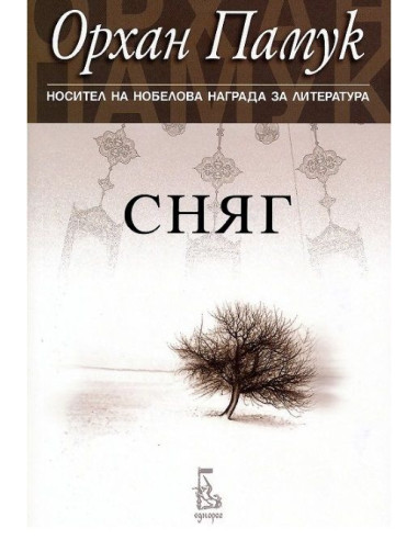 Сняг
