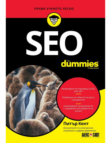 SEO for Dummies