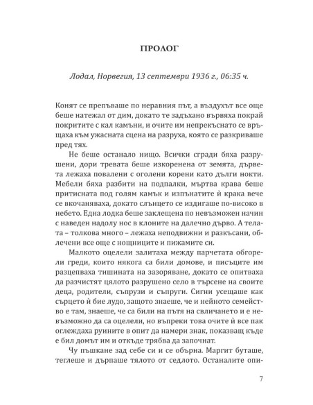 Коледно сияние