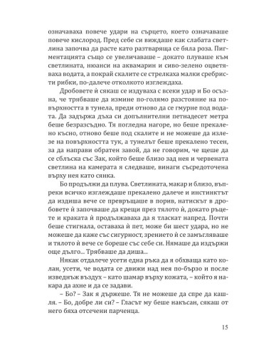 Коледно сияние