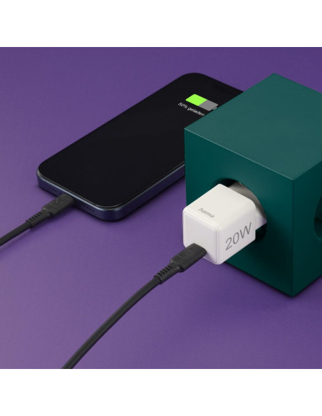 Мрежово супер мини-зарядно, USB-C, 20W, 201980